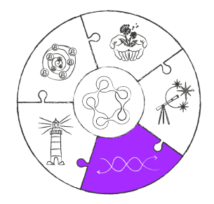 logo-aceleradora-de-politicas-publicas